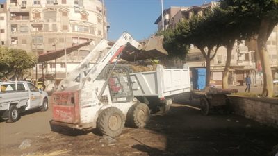 حملات نظافة ورفع الإشغالات في دسوق