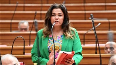 نائبة: صرف دُفعات جديدة من صندوق إعانات الطوارئ للعاملين بالسياحة خطوة مهمة