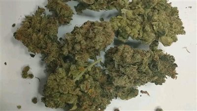 راكب ألمانى يحاول تهريب كمية من مخدر الماريجوانا عبر مطار الغردقة 