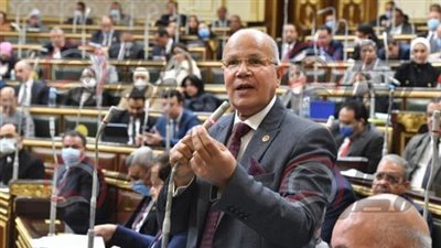 طلب إحاطة في النواب لتنفيذ التكليفات الرئاسية في التعامل صندوق النقد الدولي