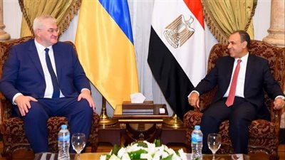 جلسة مباحثات جانبية بين وزير الخارجية ونظيره الأوكراني