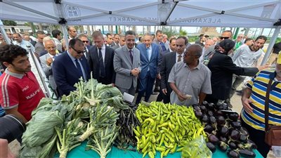 الغرف التجارية: أسواق اليوم الواحد تضمن بيع المنتجات بأعلى جودة وتوفر 50% للمزارع