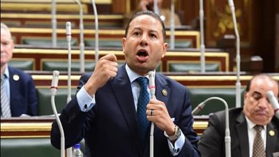 حسن عمار: حديث السيسي أكد أن الإحباط واليأس كلمات لا توجد في قاموس المصريين 