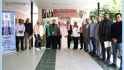 آليات التقاضي في قضايا العنف الرقمي ضد النساء