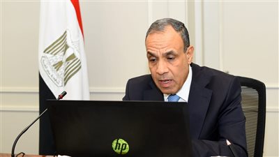 وزير الخارجية يعقد لقاء افتراضيًا مع ممثلي الجالية المصرية في قطر