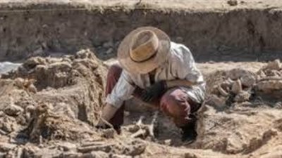 علماء يعثرون على أكبر مخزن قديم للحبوب يعود للقرن السادس عشر