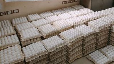 الشرقية: طرح 2000 كرتونة بيض مائدة أمام المواطنين بسعر 150 جنيهًا