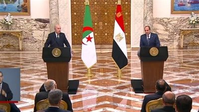 نشكر مصر على وقوفها بجانبنا.. أبرز تصريحات الرئيس الجزائري خلال لقائه بالرئيس السيسي