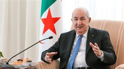الرئيس الجزائري: العلاقات مع مصر قوية ونضالنا مشترك دفاعا عن الأمة العربية