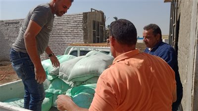 ضبط 123 شيكارة دقيق مدعم قبل بيعها في السوق السوداء ببني سويف