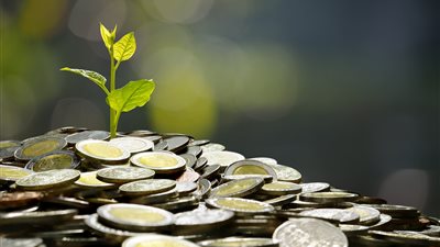 حكم الكتابة على العملات الورقية.. الإفتاء توضح 