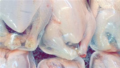 تعرف على أسعار الطيور بأسواق البحيرة 