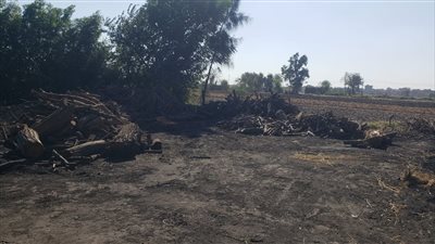 الدقهلية تنفذ حملة لإزالة مكامير الفحم المخالفة