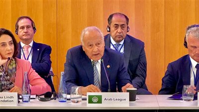  أبو الغيط: أصدقاء الاحتلال الإسرائيلي شريك في الجرائم ضد الإنسانية