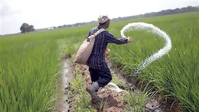 تصاعد أزمة الأسمدة 