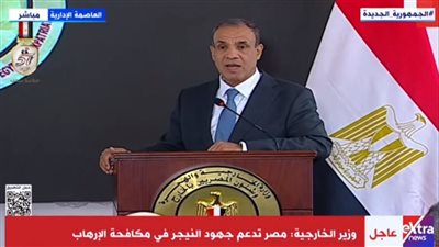 وزير الخارجية: النيجر دولة صديقة لمصر وتربطنا علاقات أخوية