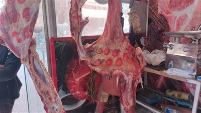  إحالة 96 مخالفة تموينية للنيابة العامة بالدقهلية