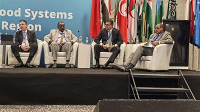 وزير التموين: مصر حريصة على تنوع مصادر الاستيراد والرقابة على الأسواق منعًا للاحتكار