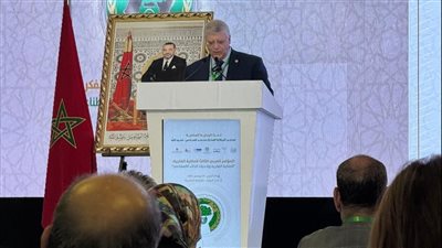 عمرو عدلى التجربة اليابانية نموذج رائد فى حماية الملكية الفكرية والتحول الرقمى