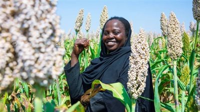 الفاو: تأثر 4 ملايين فدان من الأراضي الزراعية بالفيضانات في السودان