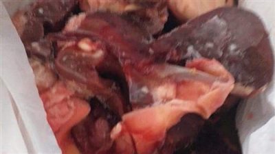 ضبط لحوم وكبده غير صالحة للاستهلاك بمطاعم الفيوم 
