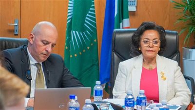 السفير أشرف سويلم الممثل الشخصي لرئيس الجمهورية يترأس اجتماعات لجنة تسيير النيباد