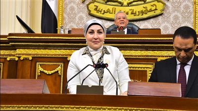 النائبة هالة أبو السعد تتقدم بطلب إحاطة بشأن مشاكل الصناعة