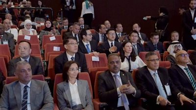 محافظ الإسماعيلية يشارك في احتفالية 