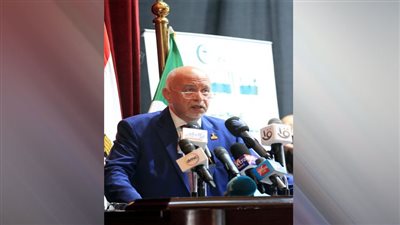  حازم الجندي: مصر ستظل المدافع الأول عن القضية الفلسطينية