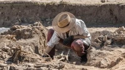 في واحة سعودية.. اكتشاف عمره 4000 عام يثير إعجاب علماء الآثار