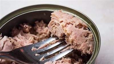 ما عدد علب التونة التي يوصي بعدم تجاوزها في الأسبوع 