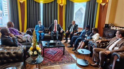 مصر تناقش مستقبل الطاقة في إفريقيا مع الدول المنتجة للبترول