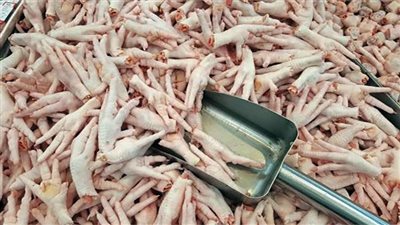   أكل الغلابة «نار» 