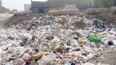 الأوبئة تحاصر قرى الخانكة