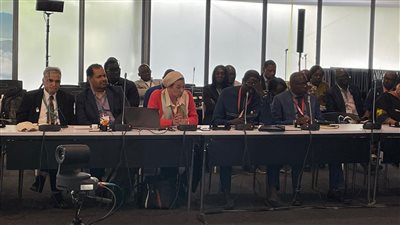 وزيرة البيئة تناقش مع المجموعة الأفريقية توحيد الرؤى على هامش cop16