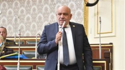  النائب سيد حنفي يطالب 