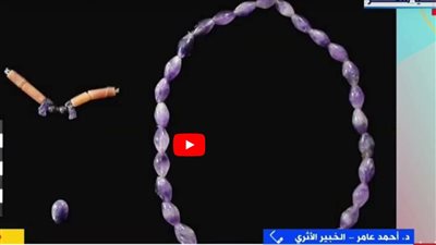 خبير: اكتشاف أول مقبرة من عصر الدولة الوسطى سيغير تاريخ الجبانة (فيديو)