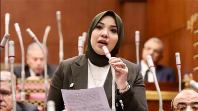 دينا هلالي: النسخة الخامسة من صالون رؤى الشباب تؤكد أهمية الكيانات الشابة في عملية صنع القرار