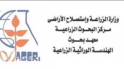 بحوث الهندسة الوراثية يُطلق برنامجًا تدريبيًا حول تحسين المحاصيل الاستراتيجية 