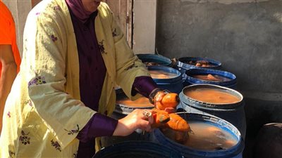  محافظ الدقهلية يحيل 282 مخالفة تموينية للنيابة العامة