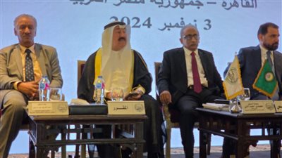 السفير محمدى النى: الاقتصادي العربي بحاجة لشراكة حقيقية لمواجهة التحديات العالمية