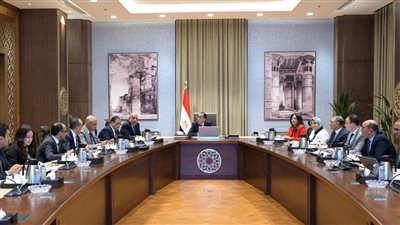 مدبولي يستعرض موقف مشروعات الطاقة الجديدة والمتجددة طبقاً لرؤية 2040