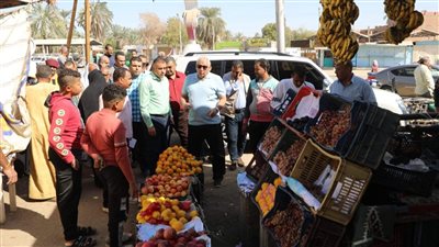 محافظ الوادي الجديد يتفقّد منافذ السلع الغذائية ومشروعات الاستثمار العقاري