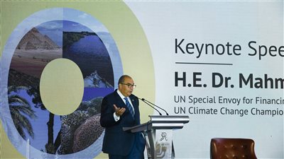 محيي الدين: تخفيف الانبعاثات بحلول ٢٠٥٠ يستلزم نشر الطاقة المتجددة 