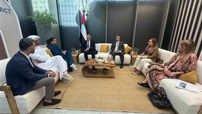 مباحثات مصرية إماراتية لتعزيز التعاون في مجال التعدين والطاقة