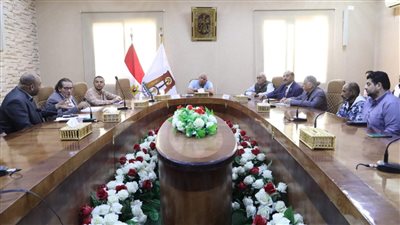 محافظ الوادي الجديد يناقش مبادرة الحرير مع الجامعة والقطاع الخاص