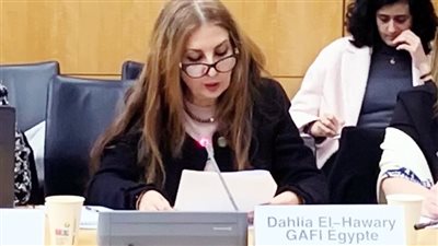 داليا الهواري: تعزيز مكانة مصر كوجهة استثمارية رائدة
