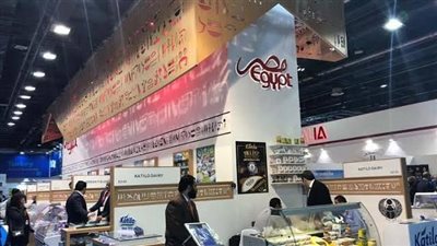 صرف 3 مليارات جنيه للمصدرين كدفعة أولى بعد تخفيض نسب الدعم