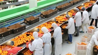 جهود الزراعة لرفع جودة المنتجات الزراعية وتلبية المعايير العالمية