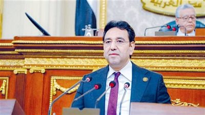 ايمن محسب يطالب بتشديد العقوبة في حالة العود في جرائم قانون تسجيل السفن التجارية